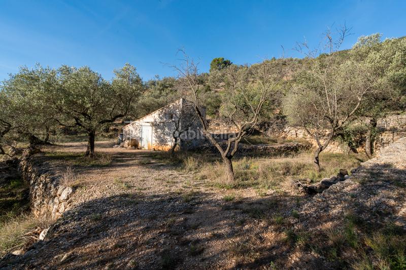 Foto 56b2325a-7ec6-48ac-9646-104d2402d71a. Propriété dans Mas de Barberans