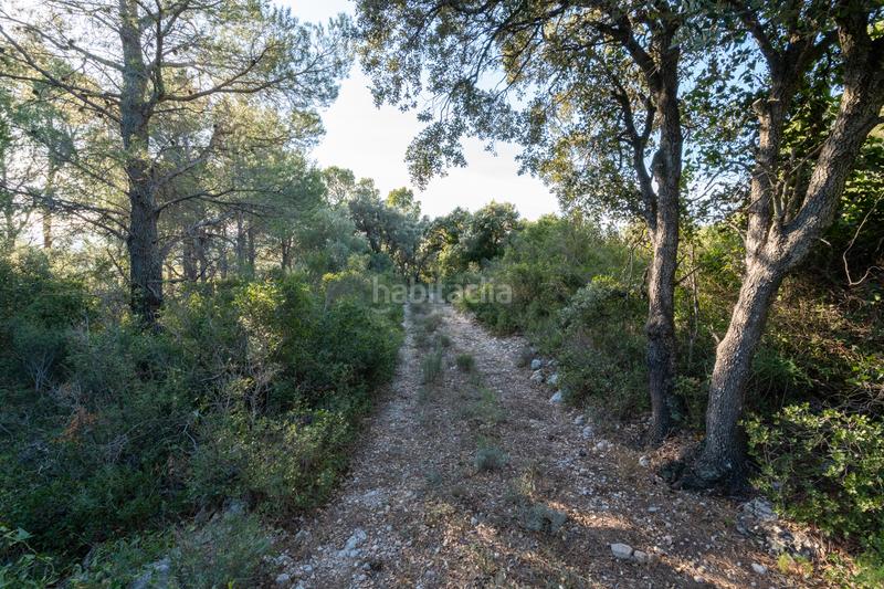 Foto 76cfdb68-547d-43ca-88b6-7c476f2d8304. Propriété dans Mas de Barberans