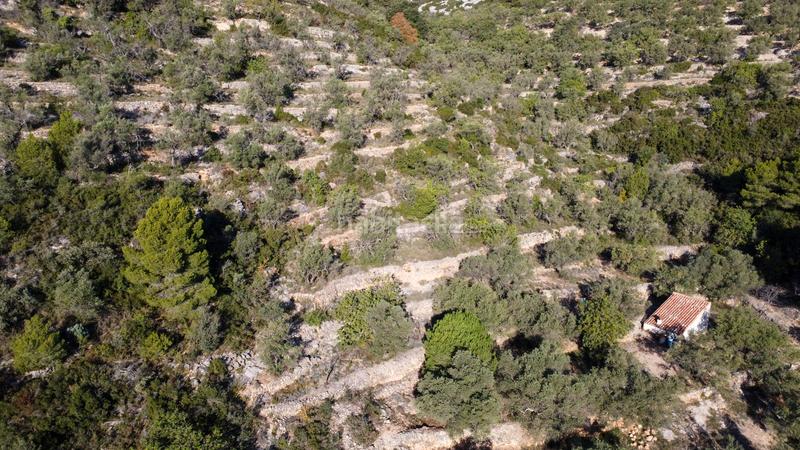 Foto 772c9efc-41e8-42ac-9bfa-d0fe84bea32b. Propriété dans Mas de Barberans