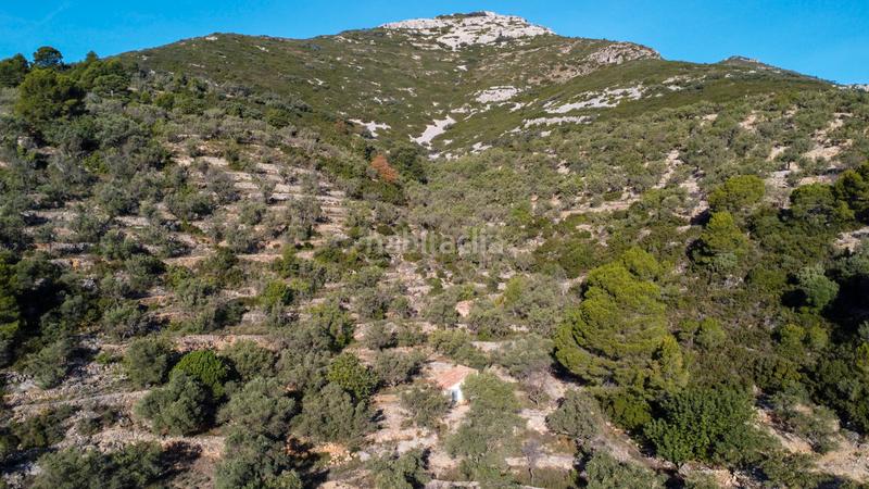 Foto 77eece28-774c-4c0c-8d9f-4fd6dc452c3d. Propriété dans Mas de Barberans