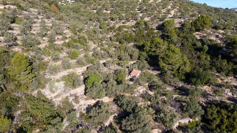 Foto 7f99214c-d892-467b-83dd-f47b0b9eeee1. Propriété dans Mas de Barberans