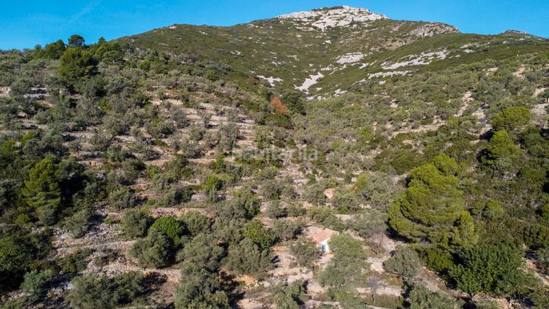 Foto 807e08b8-cf5d-43b5-8fac-cd65b5ba49f0. Propriété dans Mas de Barberans