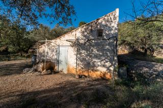 Rural plot in Mas de Barberans. Finca rústica con casa de aperos y bonitas vistas