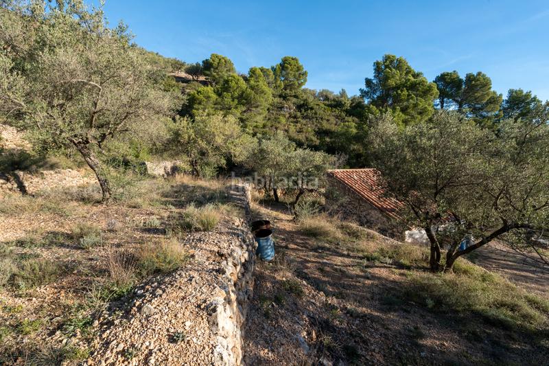 Foto a43654bb-949f-44b5-b257-3630e30234ad. Propriété dans Mas de Barberans