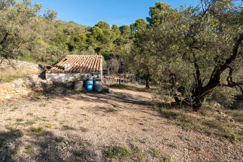 Foto ab1542fe-91e7-452d-8955-352ff3dd7337. Propriété dans Mas de Barberans