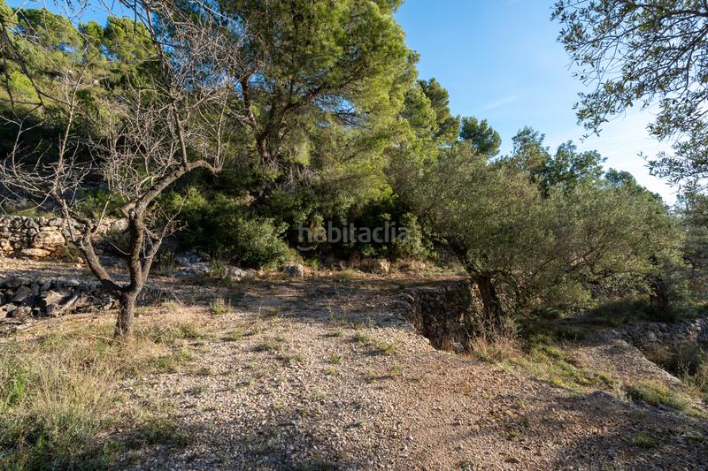 Foto ae234548-0960-4548-9012-16edcdfaa2d4. Propriété dans Mas de Barberans