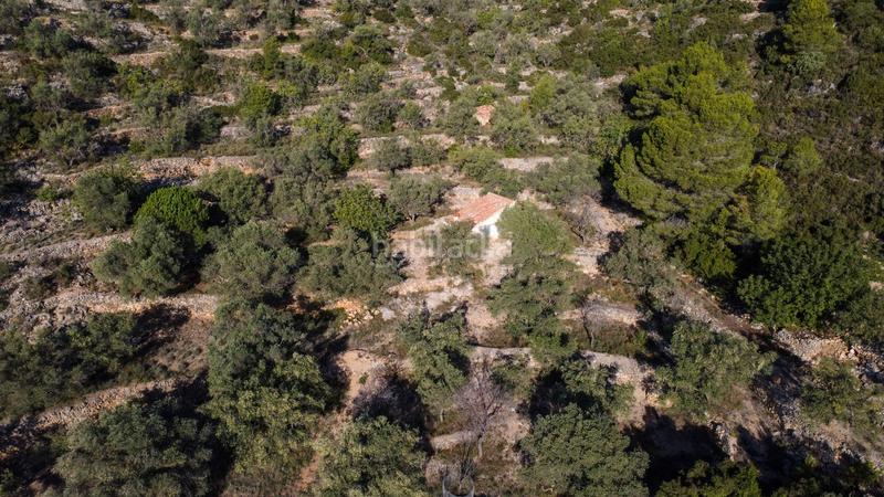 Foto b86016bd-c04a-4745-b3ca-ac771bbe293a. Propriété dans Mas de Barberans