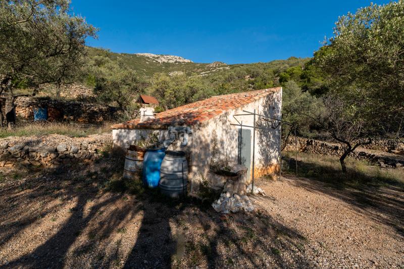 Foto c2cfe1e1-d5aa-4ee8-be11-6d6471ea4e39. Propriété dans Mas de Barberans