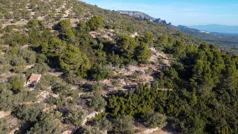 Foto d02c2a6e-6dec-4198-83dc-c344ad9264a9. Propriété dans Mas de Barberans