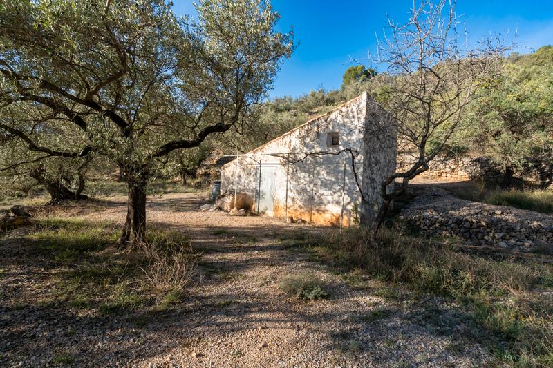 Foto d38ca7a3-f4a8-4a40-a541-63ab8bb14c87. Propriété dans Mas de Barberans