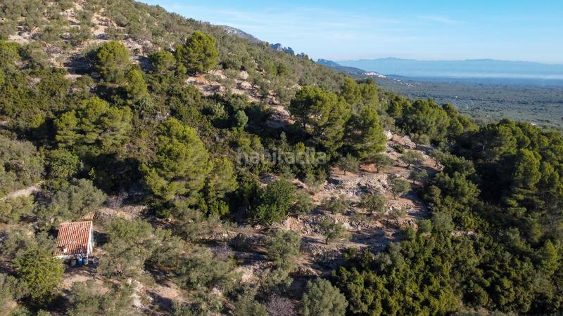 Foto f0085b51-2a74-47f6-9f17-88452694fe9e. Propriété dans Mas de Barberans