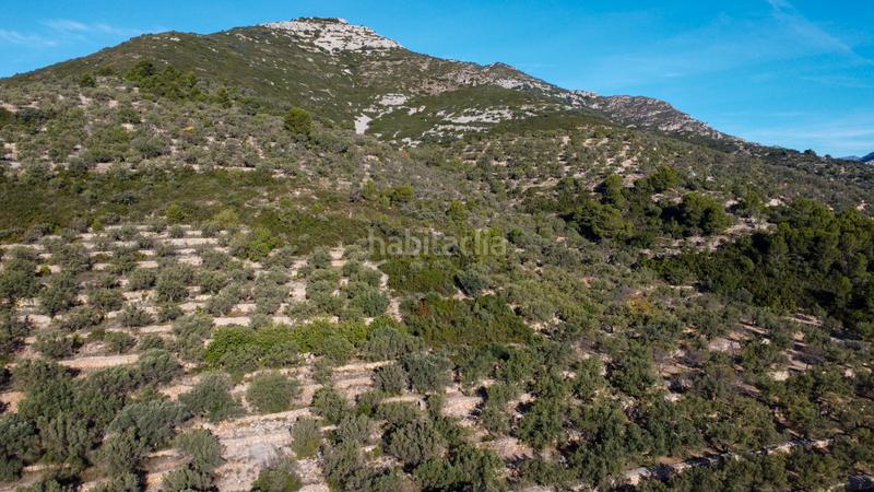 Foto f21f78b4-6eb2-4cfe-80fd-7ff6ea5fe68e. Propriété dans Mas de Barberans