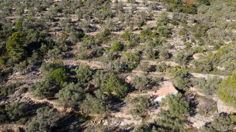 Foto f50272f8-2a4f-4f12-847a-c9aa0531eaea. Propriété dans Mas de Barberans