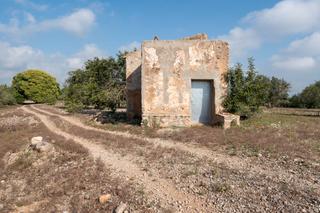 Finca rústica a Santa Bàrbara. Finca rústica llana plantada de algarrobos en producción