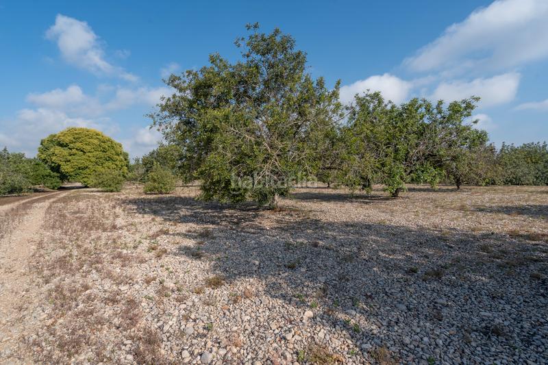 Foto 66489555-5e8a-4685-a69a-d131bb5bd3e0. Propriété dans carrer indústria 2 dans Santa Bàrbara