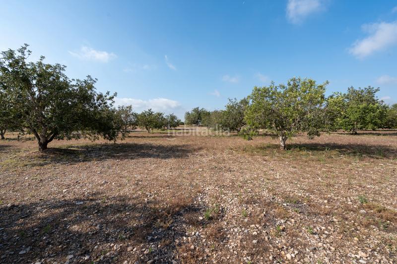 Foto 6932d6f7-d4c3-4373-8590-c69647e0d770. Propriété dans carrer indústria 2 dans Santa Bàrbara