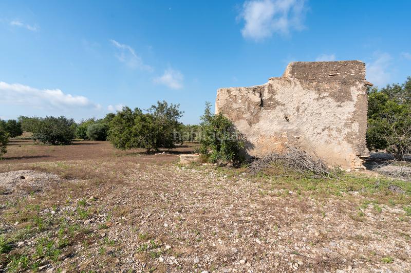 Foto ce393740-2bff-4a81-b7c1-84966e9c9551. Propriété dans carrer indústria 2 dans Santa Bàrbara