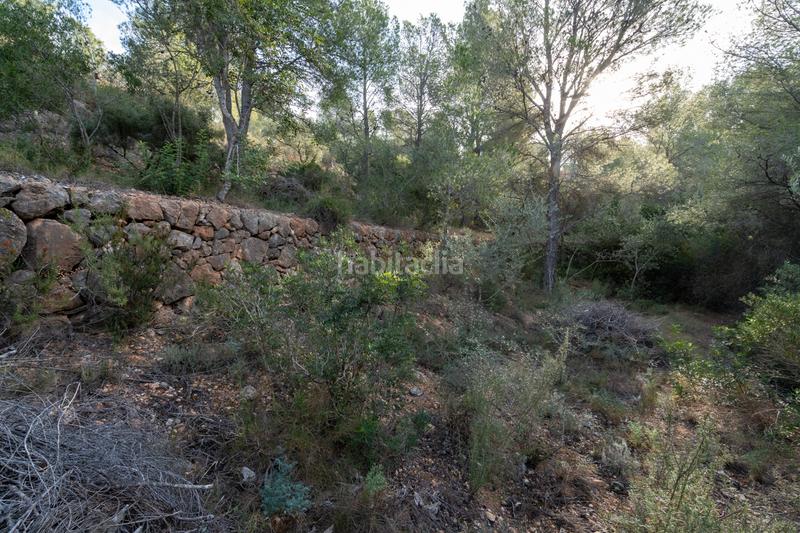Foto db83b755-838e-41a0-917e-55ce905844ff. Masia a partida bitem 99 a Bítem Tortosa