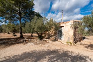 Rural plot in Cami 9 parellades 1. Finca rústica de olivos con casa de campo. luz de red y agua de