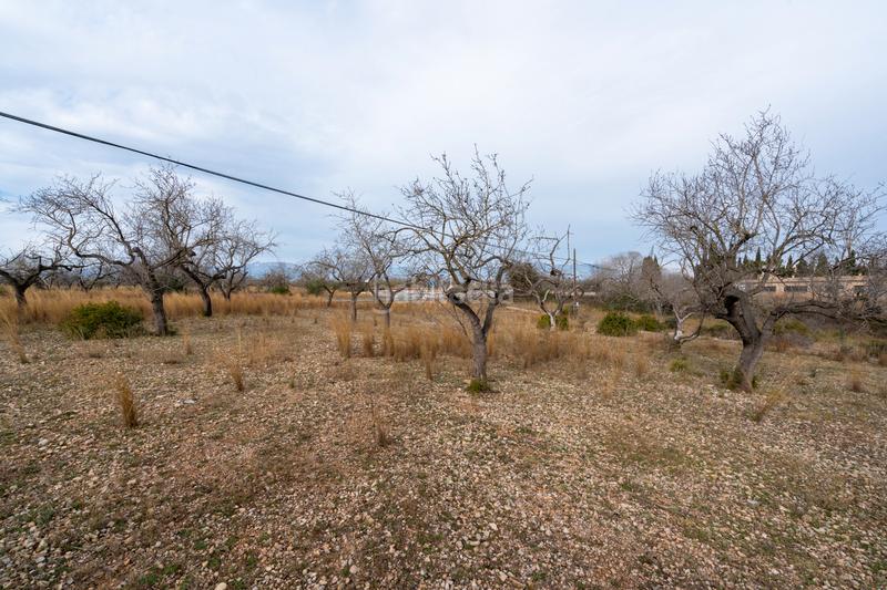 Foto 5308608b-cca3-48fc-8404-19644d6fefb0. Propriété dans carrer de la creu 45 dans Galera (La)