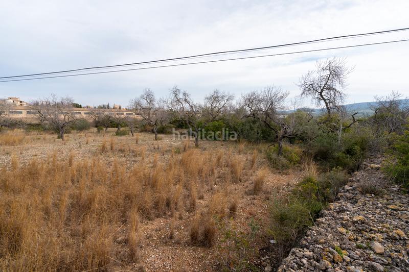 Foto dcf31a36-66ba-4648-9470-4f717270c7a9. Propriété dans carrer de la creu 45 dans Galera (La)