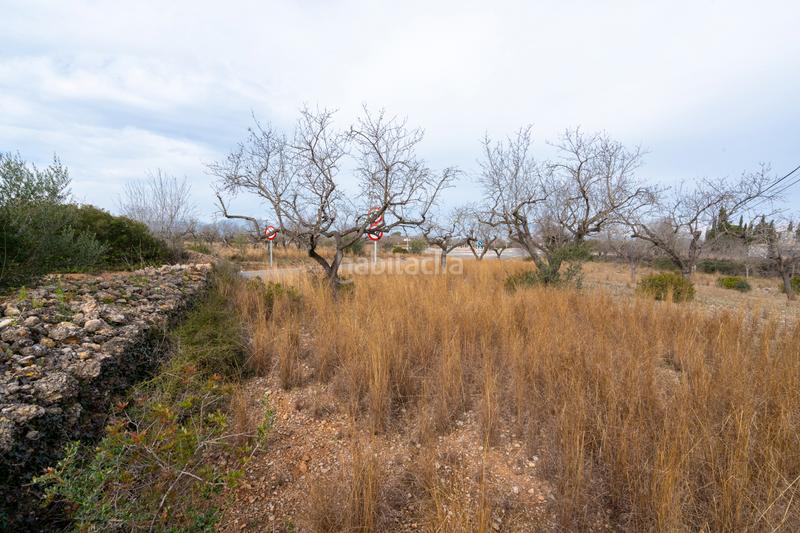 Foto f66cbe83-92fe-4d7c-ad2f-f48086f70c4e. Propriété dans carrer de la creu 45 dans Galera (La)