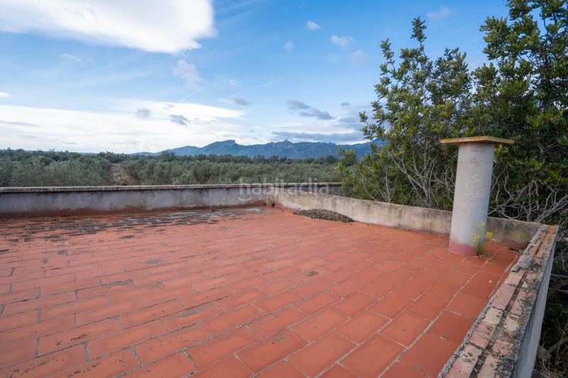 Foto 0af3cb97-65b7-4dd9-bb30-4eedca05a478. Finca rústica a Roquetes