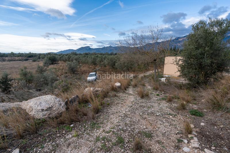 Foto 22541ce7-5dc5-4d2b-ad22-c61e09b14552. Finca rústica a Roquetes