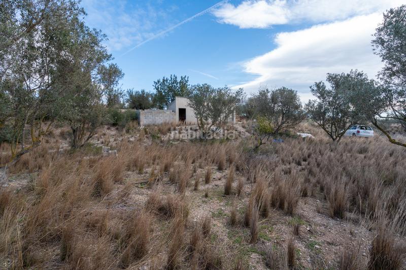 Foto 233d3b2d-6130-48ed-8067-a09a8ec3e0dc. Finca rústica a Roquetes