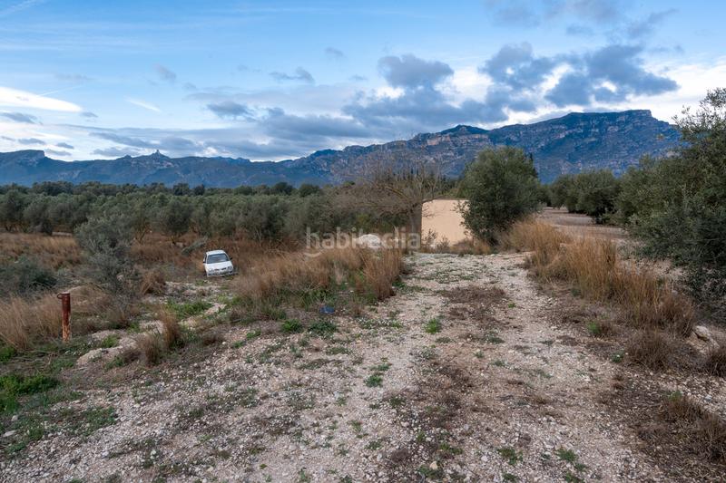 Foto 465c532b-158c-4039-af55-3f99497bc501. Finca rústica a Roquetes