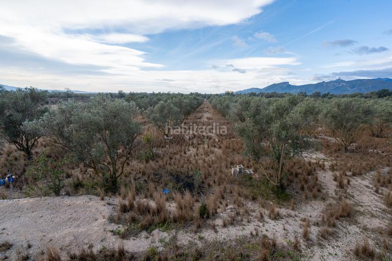 Foto 60c22179-33dd-4524-b920-e04ba335c775. Finca rústica a Roquetes