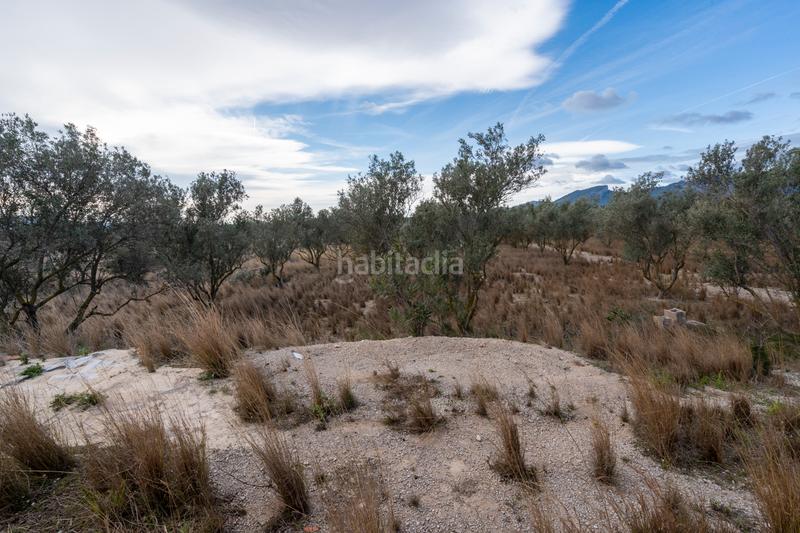 Foto 662f63bf-83fe-4277-94de-dddc3d75f1c1. Finca rústica a Roquetes