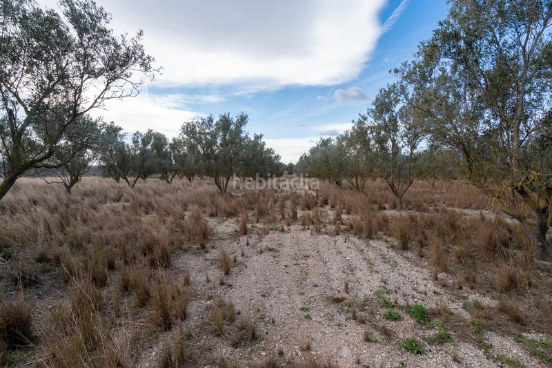 Foto 6a9c4b52-4f80-4a12-853e-bd1b79725a2a. Finca rústica a Roquetes