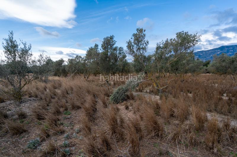 Foto 80b17268-9ee3-43c6-aafc-a6756f84cc64. Finca rústica a Roquetes