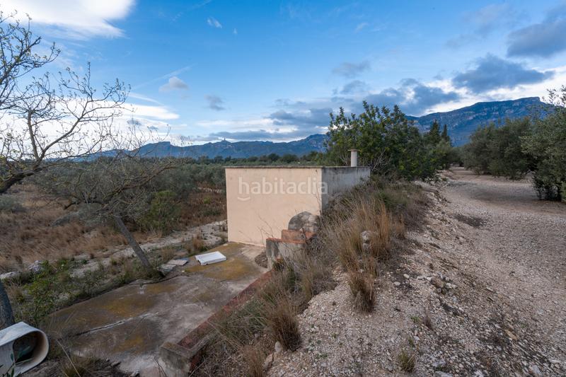 Foto defde526-40d3-4a25-b119-4d04c8eb344c. Finca rústica a Roquetes