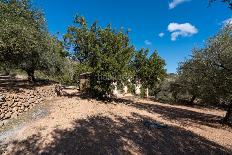 Foto 323b8ef9-cac3-42d6-b6b9-15e25cf503ce. Landgut in diseminado poligon 18 20 in Xerta