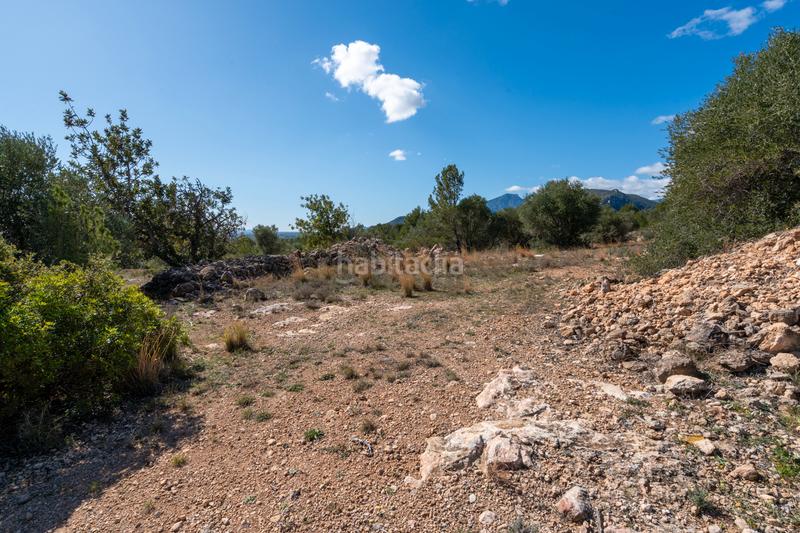 Foto 47dd3143-13cf-48c7-aee6-63b648f9469b. Landgut in diseminado poligon 18 20 in Xerta