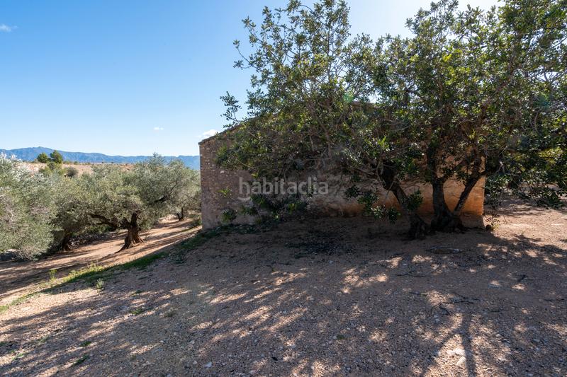 Foto 52ceda11-2b08-46c0-a95e-633edea64198. Landgut in diseminado poligon 18 20 in Xerta