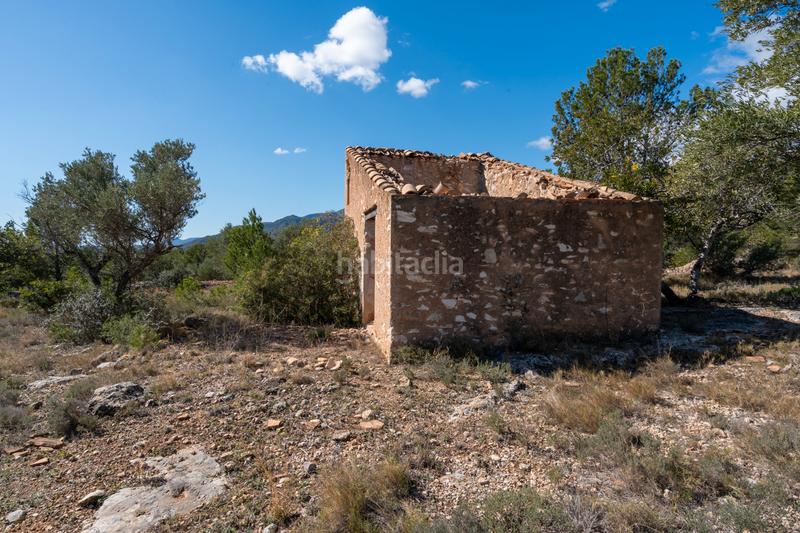 Foto 5f157d91-0c77-49b9-9874-016ab808141a. Landgut in diseminado poligon 18 20 in Xerta