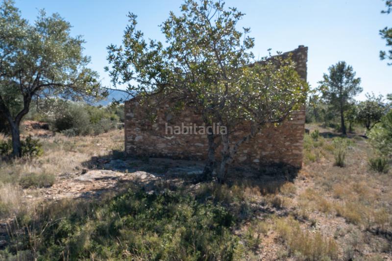 Foto 736245fd-c7e8-47fb-af65-567fb0b33a1f. Landgut in diseminado poligon 18 20 in Xerta