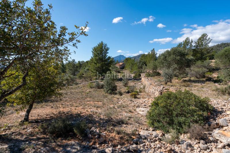 Foto 83ac8003-7790-44a9-ac94-0394df0eae81. Landgut in diseminado poligon 18 20 in Xerta