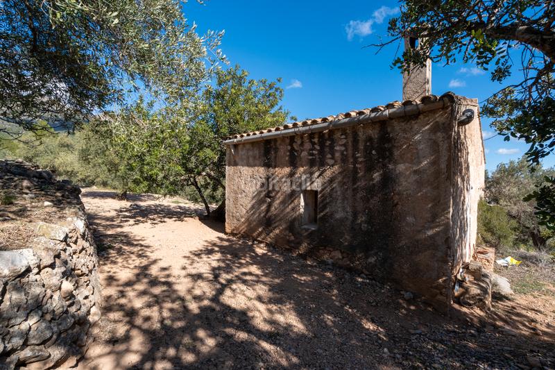 Foto 8b3a2e4b-cf3a-474f-add3-a6219429312b. Landgut in diseminado poligon 18 20 in Xerta