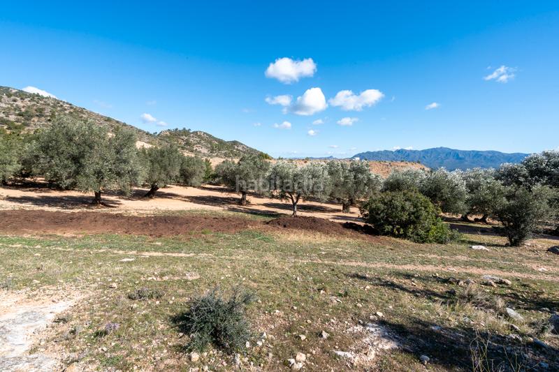 Foto a1819511-401c-4c0c-9723-5e9512d1e223. Landgut in diseminado poligon 18 20 in Xerta