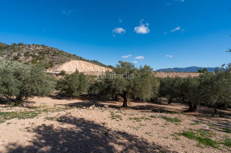 Foto acaa7340-4c4a-49b3-96d7-b13d211a19a8. Landgut in diseminado poligon 18 20 in Xerta