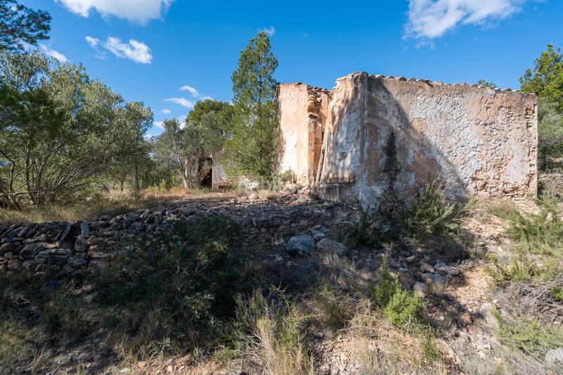 Foto b7577e15-412b-4965-baf9-e0942f2a30cf. Landgut in diseminado poligon 18 20 in Xerta