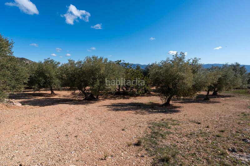 Foto ecae253c-739c-43bc-bad9-f4e62ea6ccf3. Landgut in diseminado poligon 18 20 in Xerta