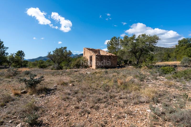 Foto fe66c5d0-006d-41cd-a9fc-3695fb604b48. Landgut in diseminado poligon 18 20 in Xerta