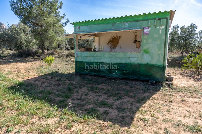 Foto 35fa3aaa-6251-4d90-8cb5-47d618e60af2. Finca rústica en raval dels àngels 18 finca rústica con olivos y frutales. agua de riego de pozo propio. construcción metálica. en Horta de Sant Joan