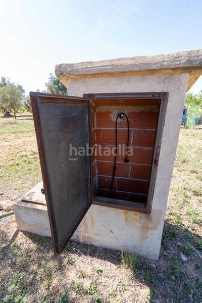 Foto 7a982156-6570-4cbb-ba40-083a63b7adf9. Finca rústica en raval dels àngels 18 finca rústica con olivos y frutales. agua de riego de pozo propio. construcción metálica. en Horta de Sant Joan