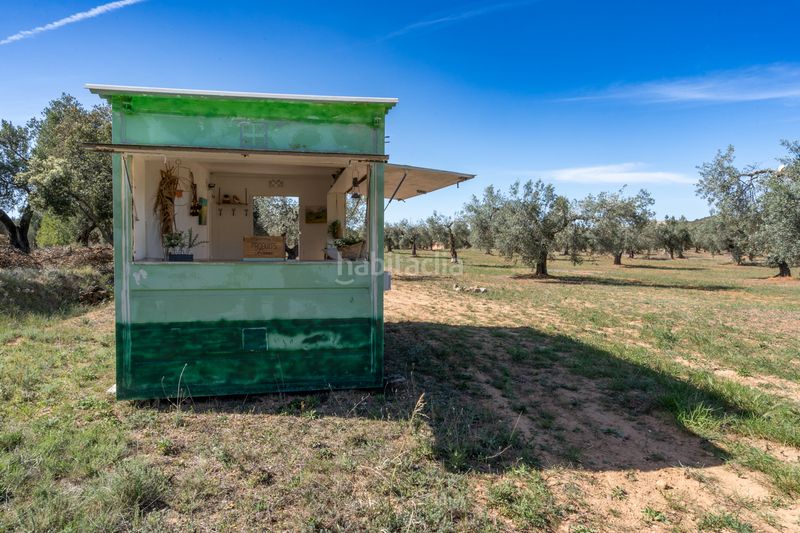Foto a23df6d6-dac7-467d-96a5-b03946084727. Finca rústica en raval dels àngels 18 finca rústica con olivos y frutales. agua de riego de pozo propio. construcción metálica. en Horta de Sant Joan